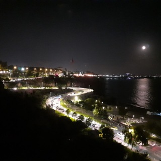 Стихи свободные