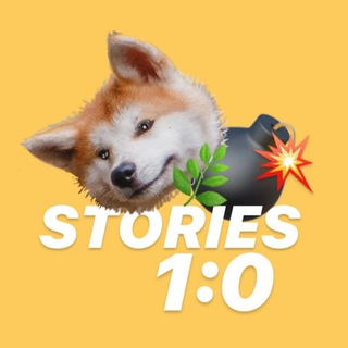 Участники курса «Сторис-менеджер»