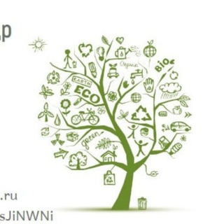 Страховка. Жизнь под страховкой. ОСАГО