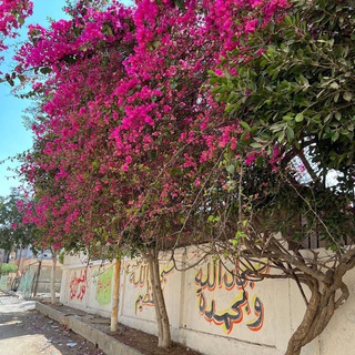 𝚜𝚝𝚛𝚊𝚗𝚗𝚒𝚔.