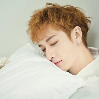 「Wolf room 찬방찬」