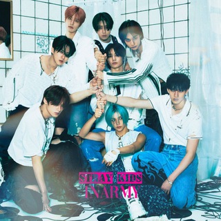 STRAY KIDS | INARMY