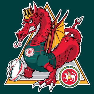 Регби-клуб «Стрела-Ак Барс»