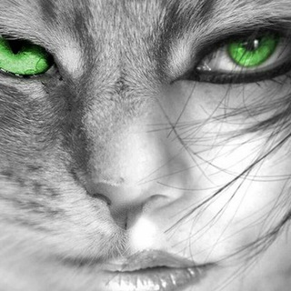 Женский взгляд