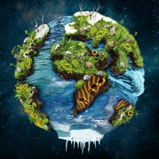 Саморазвитие | Психология