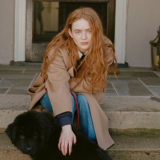 вилка стспайдэр