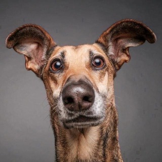 стык между 3 и 4