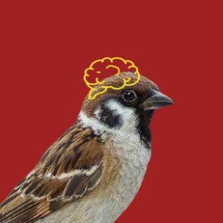 Продуктовошная Михаила Грекова