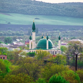 Сунжа | Новости | Недвижимость