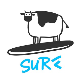 Surf Flutter Team