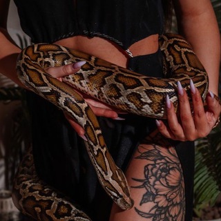 𝒜𝓇𝒾𝓃𝒶 𝒱𝒶𝓈𝒾𝓁𝑒𝓋𝒶 ✨🔭 𝒜𝓈𝓉𝓇𝑜𝓁𝑜𝑔𝑒𝓇