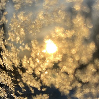 ☀️КАНАЛ СВЕТА☀️ с Sineglazkoй