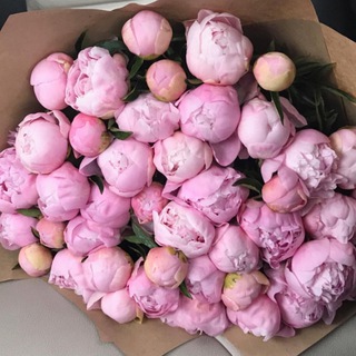 Svetlich0k … печатает