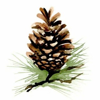 СибЗдрав предупреждает