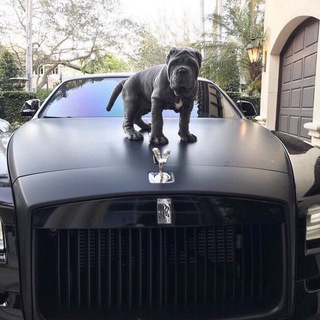 🔊Swiss 48 MUSIC BAR🔊