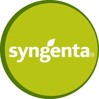 «Сингента» — семена овощных культур