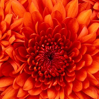 партнёрские программы-для тех кто ищет дополнительный заработок GB