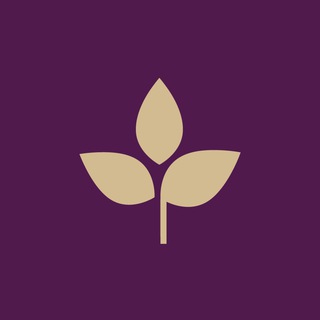 Тайрай — тайский спа