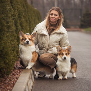 Корги Talisman Vasilisy