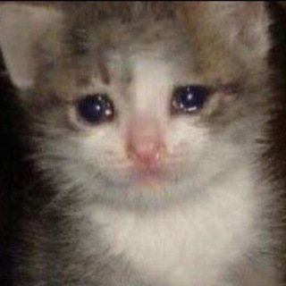 мемы тамерлана