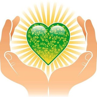 Моё здоровье