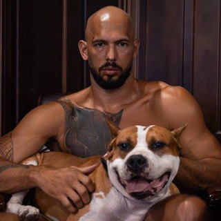 Орден Тейта