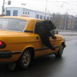 Приколы | ржач | прикольные истории | плачу в голос