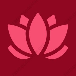 TSVETOHNE ENTERTAINMENT