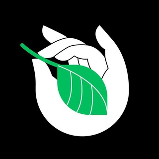 Коллекционный чай | Чай Пуэр