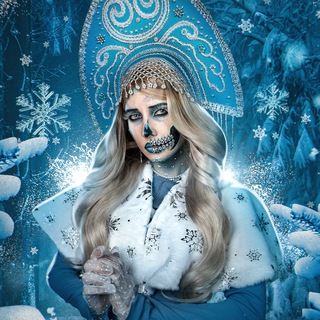 Завидные котики😎