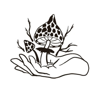 Земский сёрфер