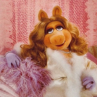 Роскошница на связи