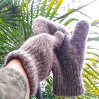 Зуб бегемота