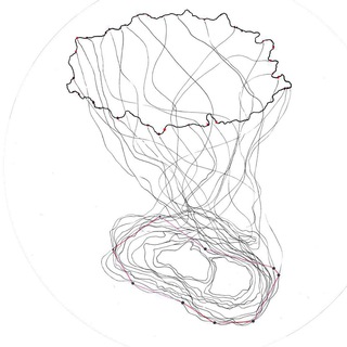 звука среда