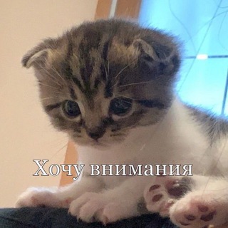 очевидно что то интересное🤔