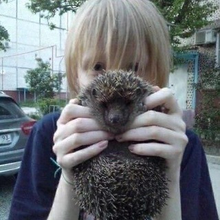 mimmmxf (дегенерат)