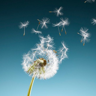 Онлайн с Андреем Тирса