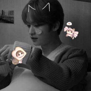 темы для тг со skz❣️