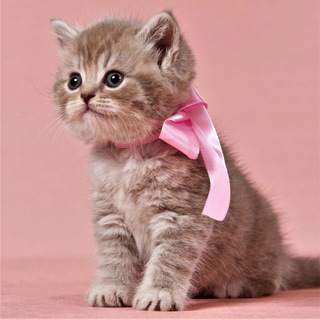 уникальные языки и темки