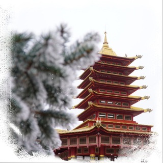 Шафран Тепшинов