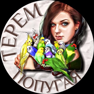 ТЕРЕМтека💡Терем попугая