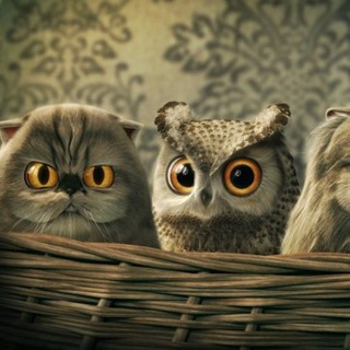 Территория здравого смысла