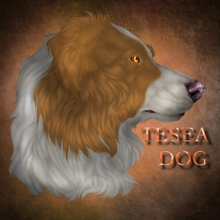 Tesea.dogs