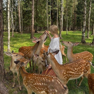 ᴛhᴀᴛ girl |ʍᴏᴛиʙᴀция