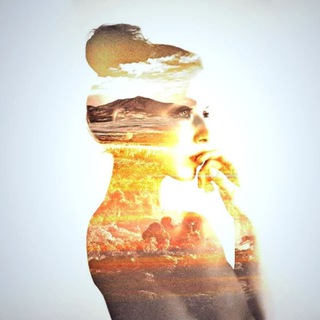 Мудрые Слова