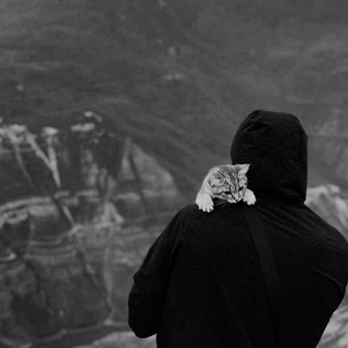 𝙏𝙃𝙀 𝘽𝙀𝙎𝙏 𝙃𝙄𝙏𝙎𝙎