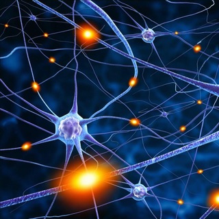 𝕿𝖍𝖊𝕭𝖚𝖘𝖎𝖓𝖊𝖘𝖘𝕿𝖎𝖒𝖊