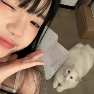 ݁ ׅ ੭ the ᴋᴀᴛʟ1ɪᴏxs🍡 ׅ ᰍ