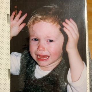 иволга на веточке