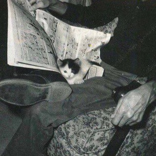 искренность сих чувств